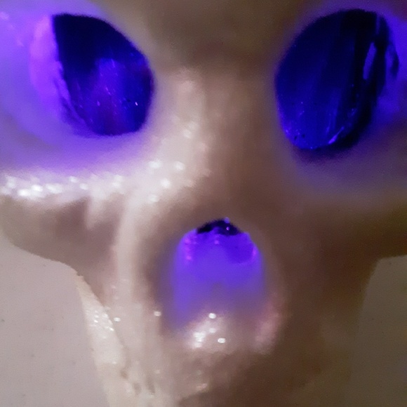 Halloween Light Up Skeleton Head - Picture 4 of 5